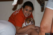 Healthy English Bulldog puppies for adoption 